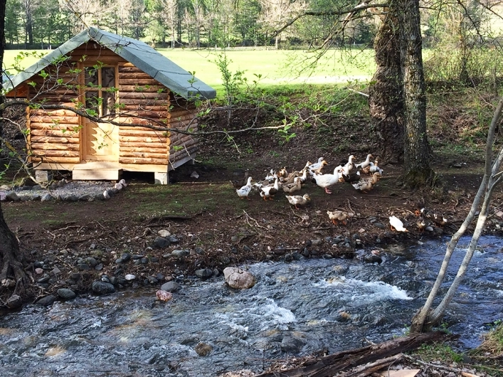 zobacz camping - zdjęcie 7