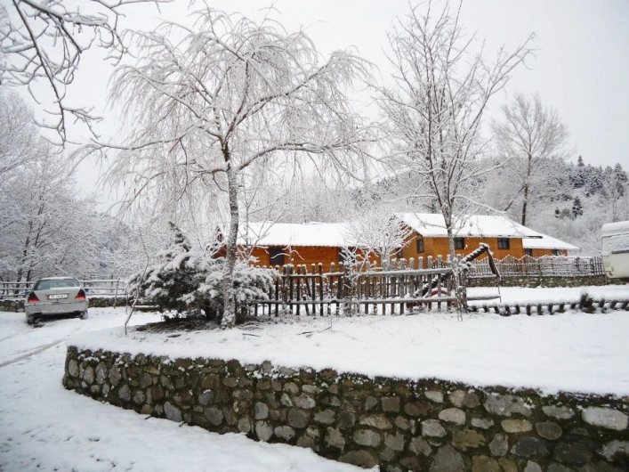 Camping Farma Sotira - zdjęcie 3