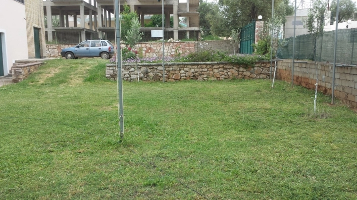 zobacz camping - zdjęcie 9