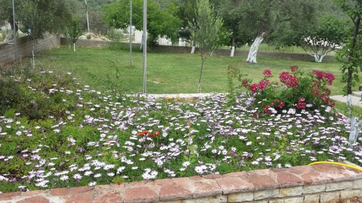 zobacz camping - zdjęcie 1