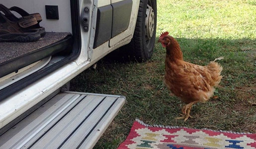 Camping Kapxhiu - zdjęcie 1