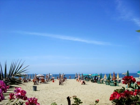 zobacz camping - zdjęcie 10