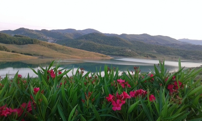 zobacz camping - zdjęcie 17