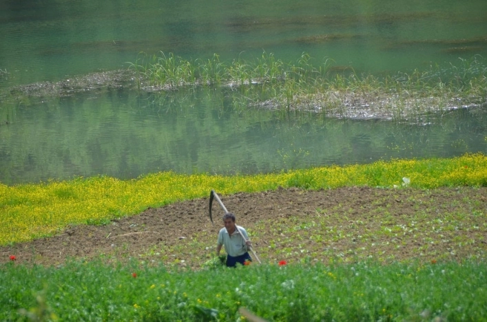 zobacz camping - zdjęcie 15