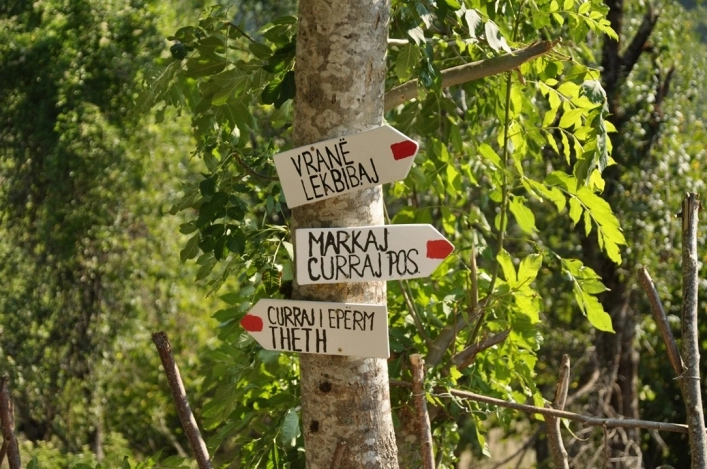 zobacz camping - zdjęcie 11