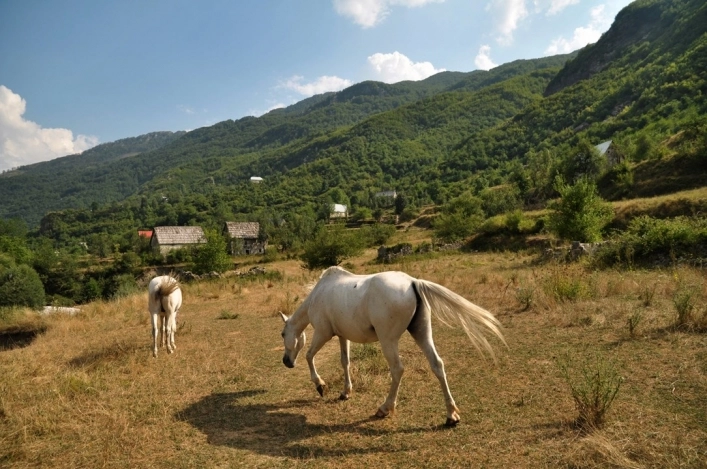 zobacz camping - zdjęcie 8