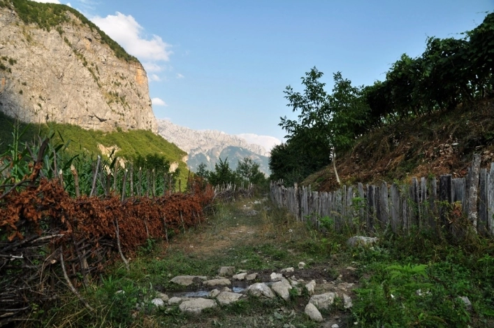 Curraj i Epërm Summer Camping - zdjęcie 2