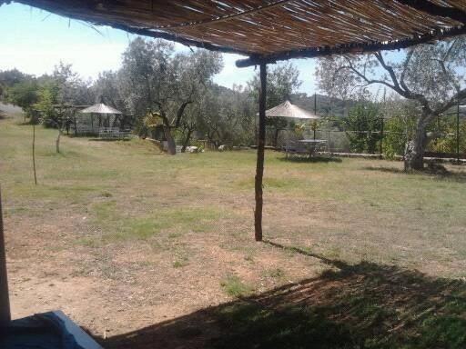 zobacz camping - zdjęcie 25