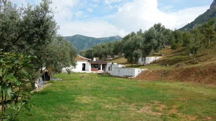 zobacz camping - zdjęcie 24