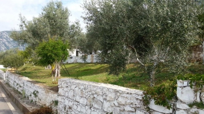 zobacz camping - zdjęcie 18