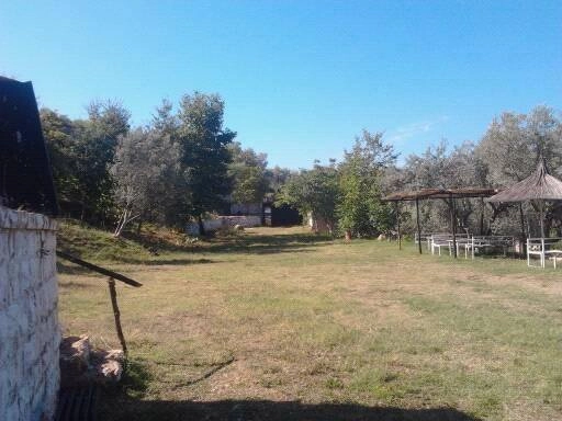 zobacz camping - zdjęcie 17