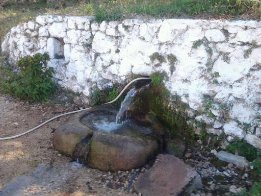 zobacz camping - zdjęcie 8