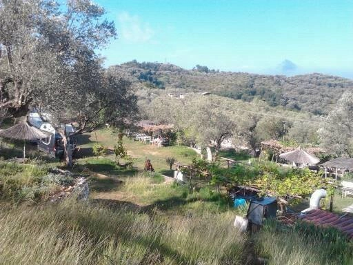 KRUJE CAMPING - zdjęcie 1