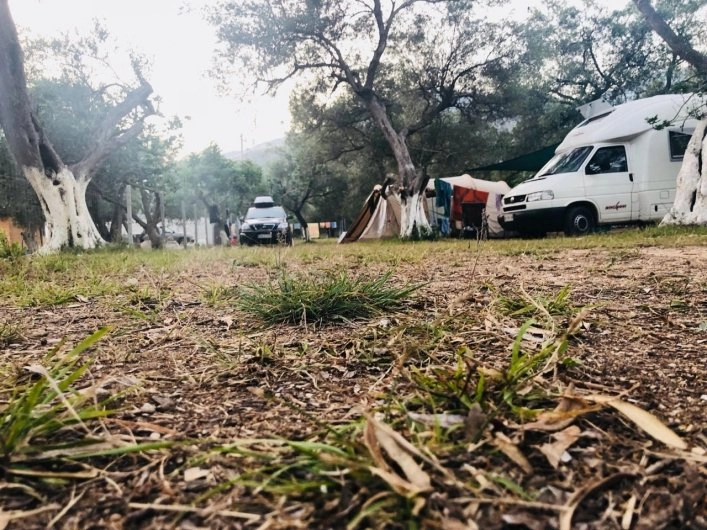 Toli's camping - zdjęcie 2