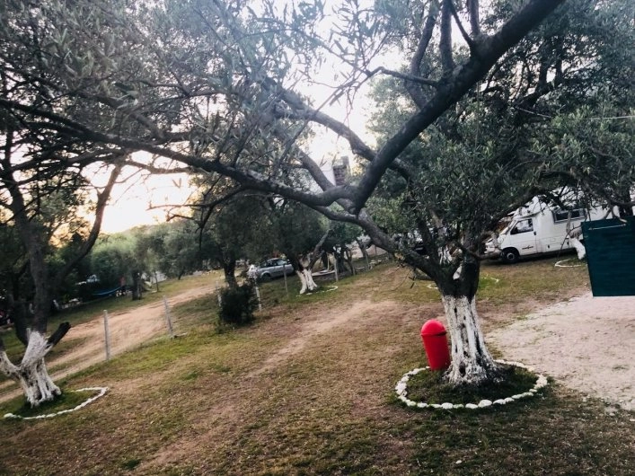 Toli's camping - zdjęcie 1