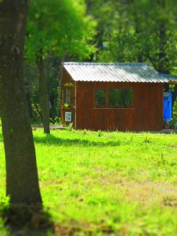 zobacz camping - zdjęcie 22
