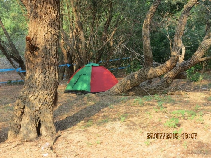 zobacz camping - zdjęcie 17