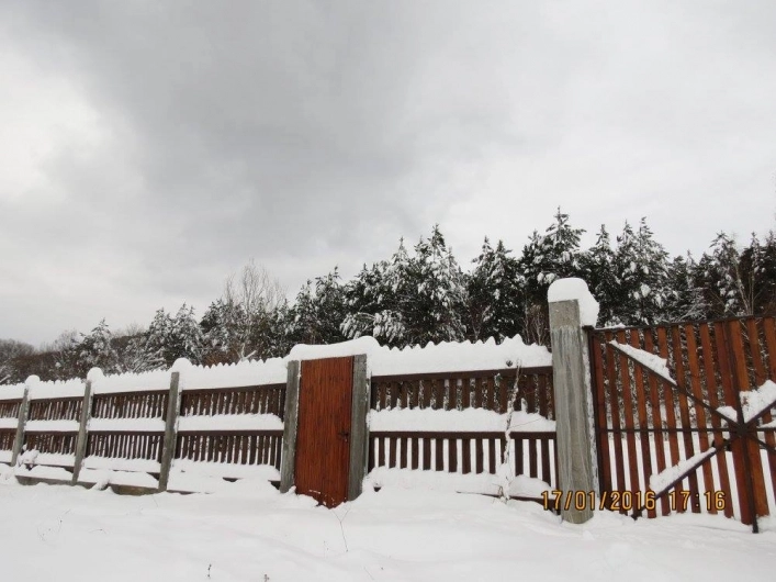 zobacz camping - zdjęcie 6