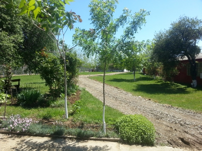 Camping Irakli - zdjęcie 3