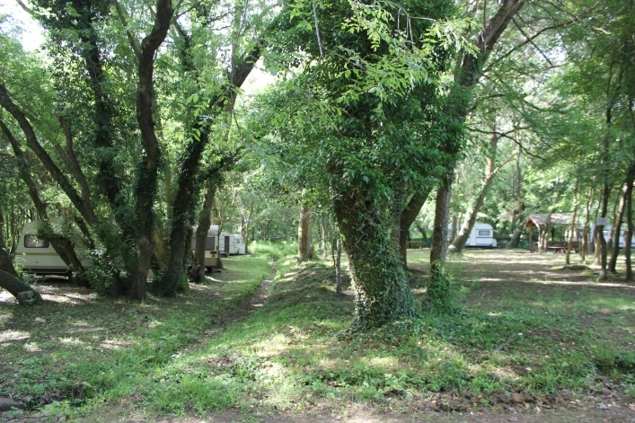 zobacz camping - zdjęcie 15