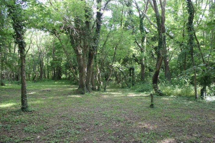 zobacz camping - zdjęcie 8