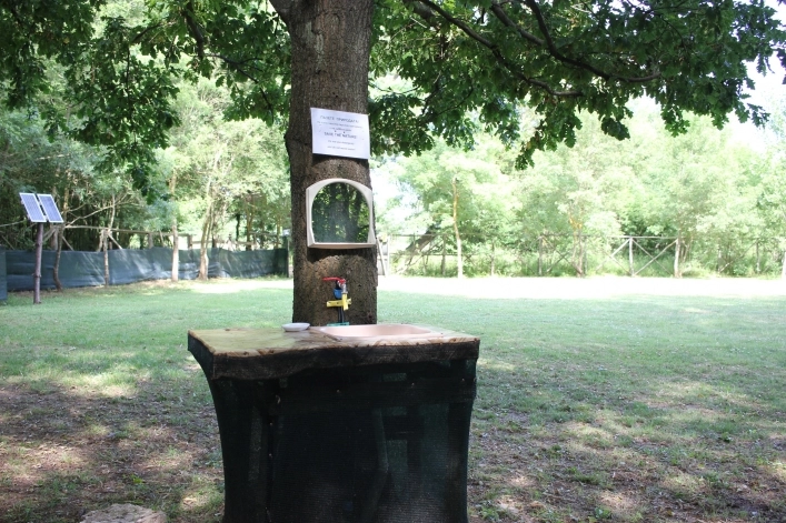 zobacz camping - zdjęcie 6