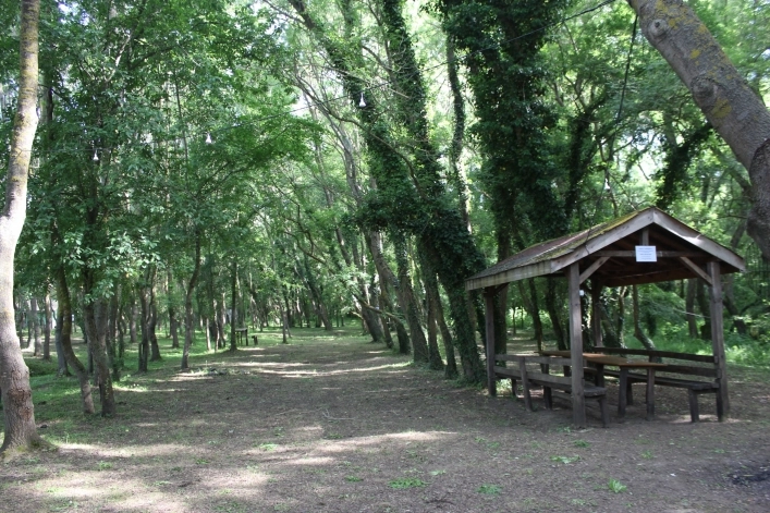 Camping Silistar - zdjęcie 1