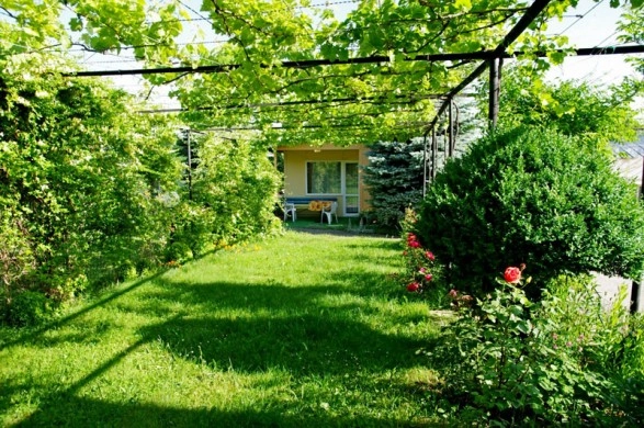 zobacz camping - zdjęcie 12