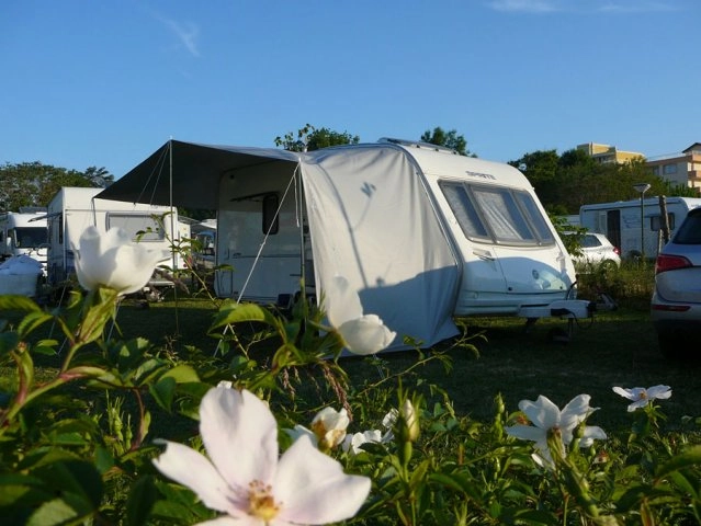 zobacz camping - zdjęcie 41