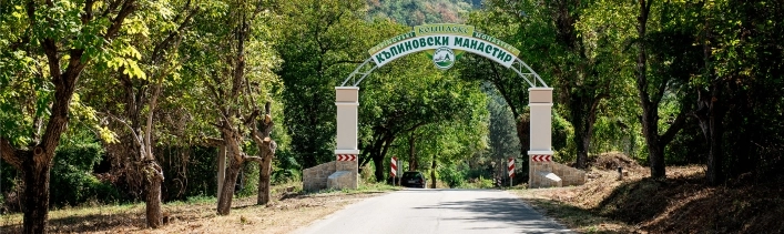 zobacz camping - zdjęcie 10