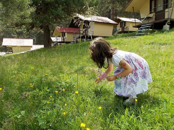 Na Zeleno + camping - zdjęcie 3