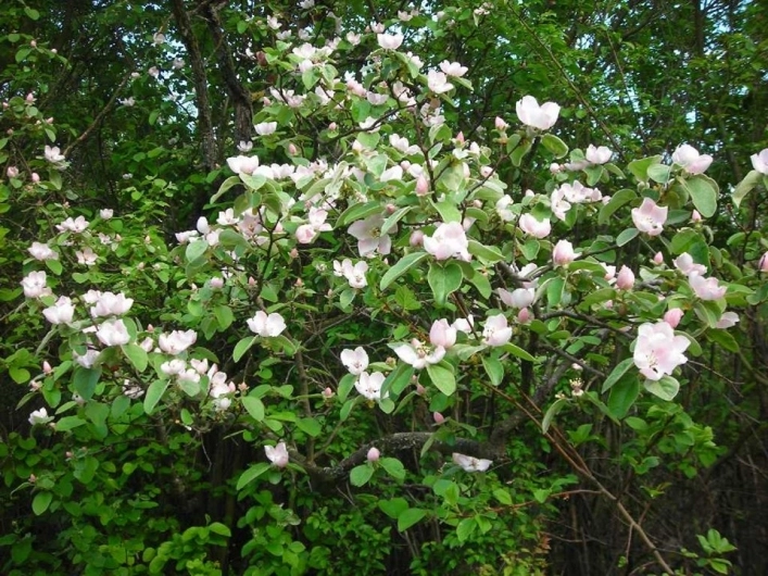 zobacz camping - zdjęcie 10