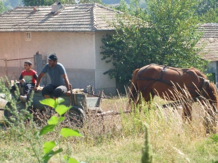 zobacz camping - zdjęcie 5