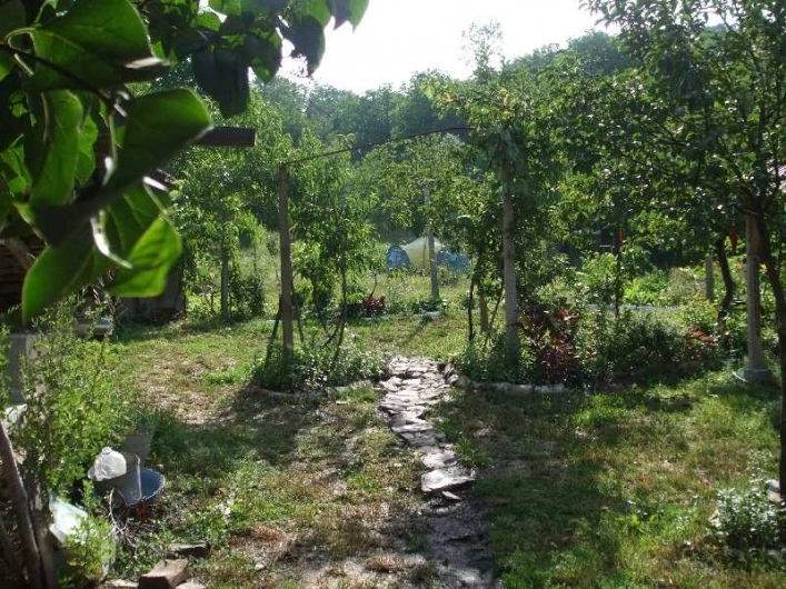 zobacz camping - zdjęcie 4