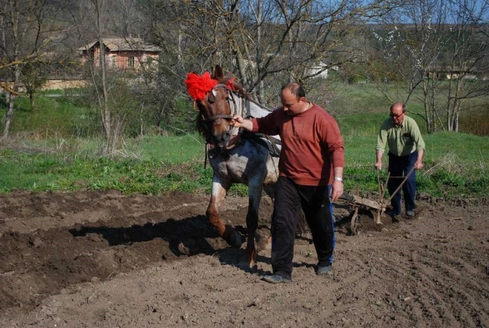 zobacz camping - zdjęcie 3