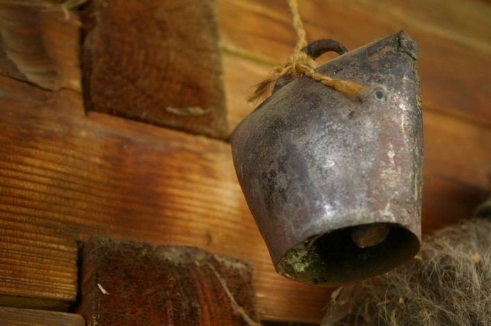 zobacz camping - zdjęcie 21