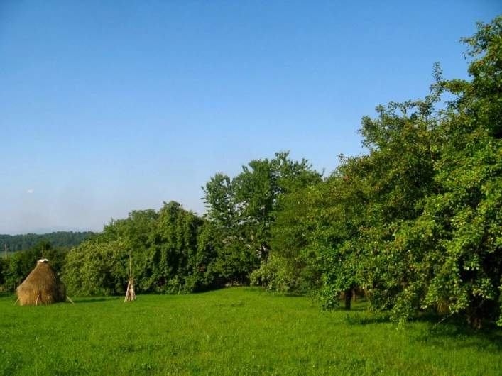 zobacz camping - zdjęcie 9