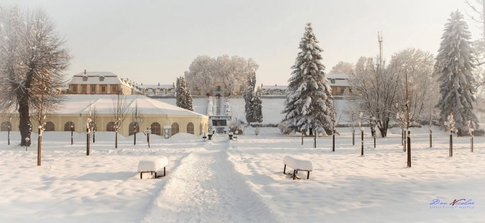 Brukenthal Palace - zdjęcie 4