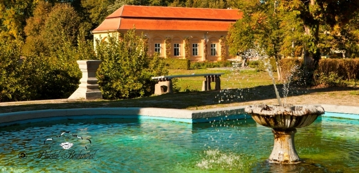 Brukenthal Palace - zdjęcie 2