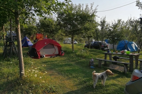 zobacz camping - zdjęcie 4