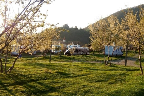 Camping Ananas Sibiu - zdjęcie 1