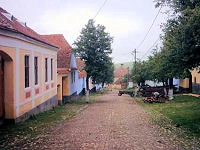 zobacz camping - zdjęcie 8