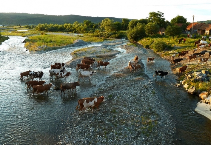 zobacz camping - zdjęcie 7