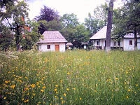 zobacz camping - zdjęcie 6