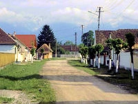 Camping de Oude Wilg - zdjęcie 1