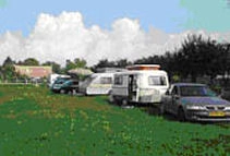 Camping de Oude Wilg - zdjęcie 1
