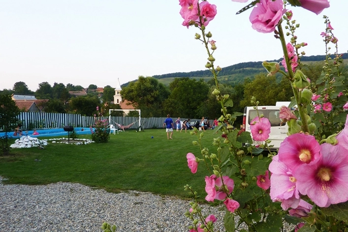 zobacz camping - zdjęcie 10