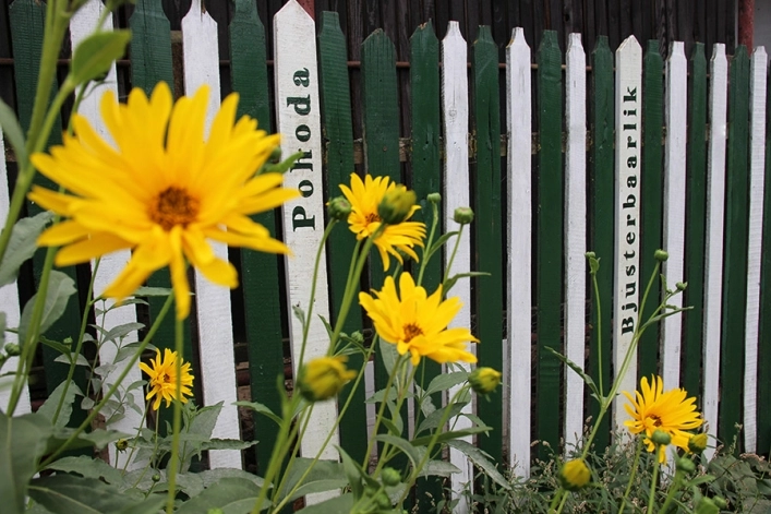 zobacz camping - zdjęcie 9