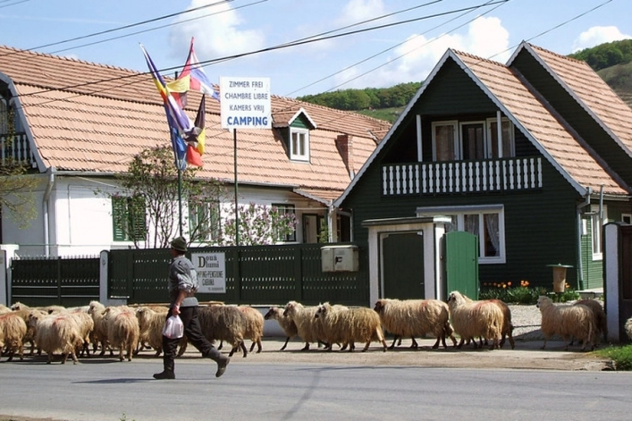 Camping Două Lumi - zdjęcie 3