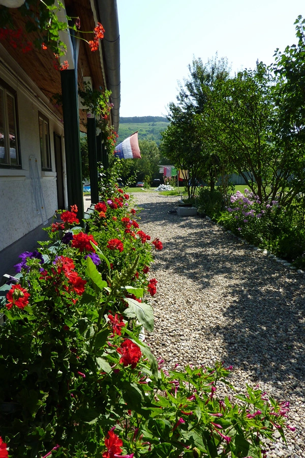 Camping Două Lumi - zdjęcie 1